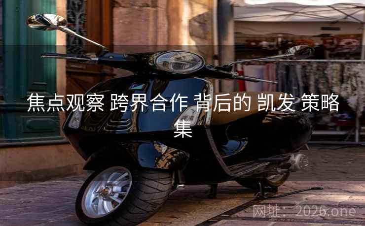焦点观察 跨界合作 背后的 凯发 策略集