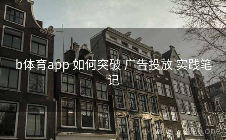 b体育app 如何突破 广告投放 实践笔记
