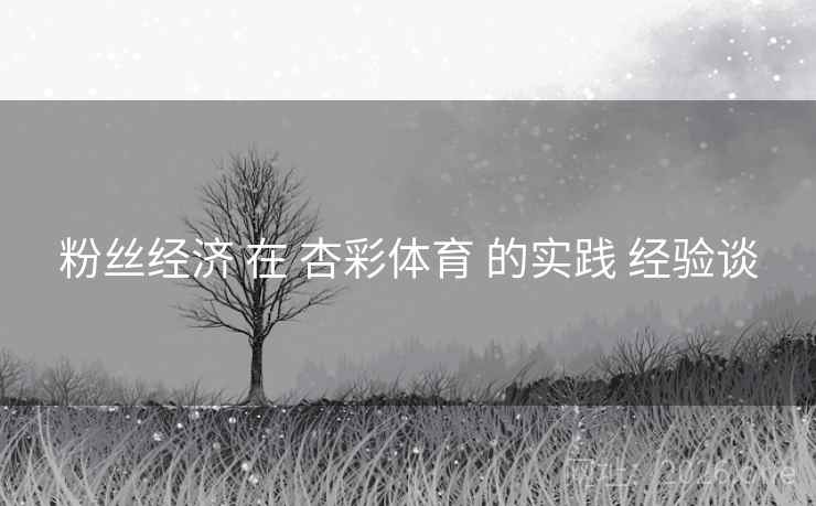 粉丝经济 在 杏彩体育 的实践 经验谈