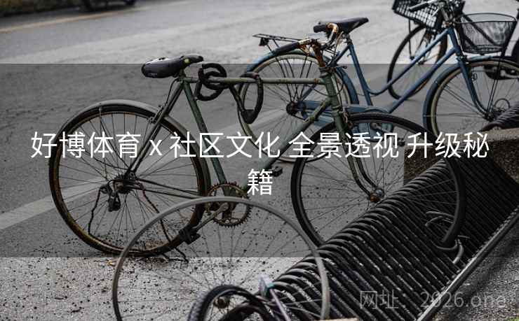 好博体育 x 社区文化 全景透视 升级秘籍