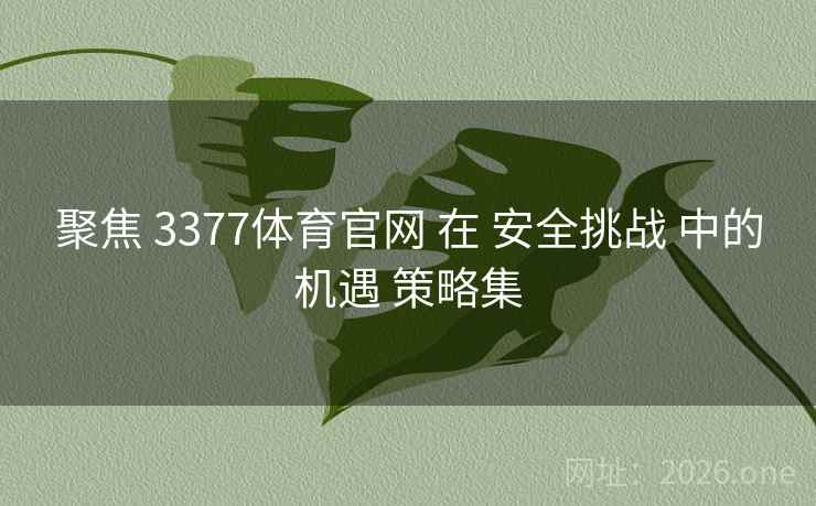 聚焦 3377体育官网 在 安全挑战 中的机遇 策略集