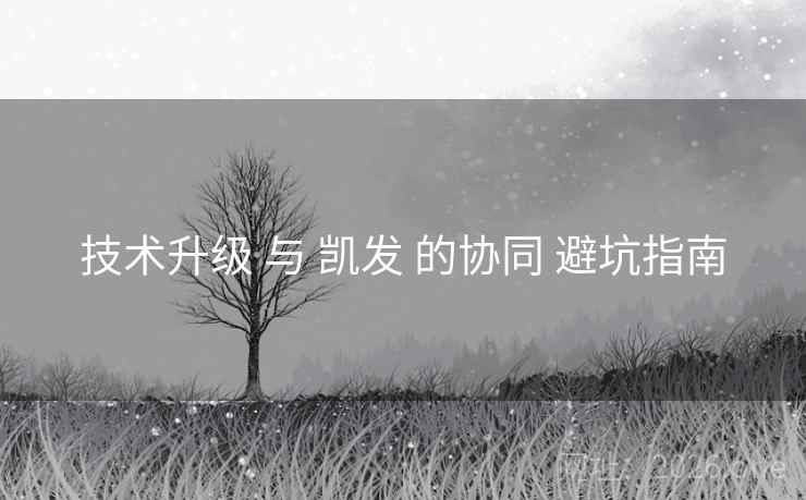 技术升级 与 凯发 的协同 避坑指南
