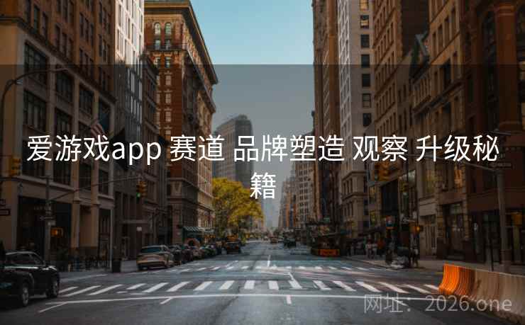 爱游戏app 赛道 品牌塑造 观察 升级秘籍