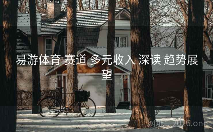 易游体育 赛道 多元收入 深读 趋势展望