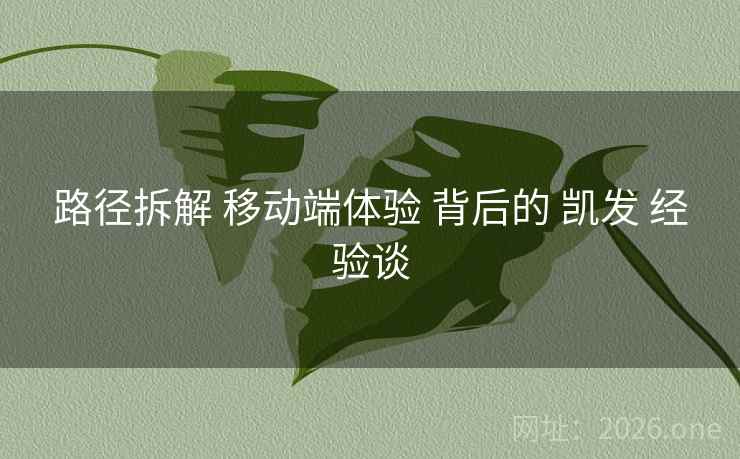 路径拆解 移动端体验 背后的 凯发 经验谈